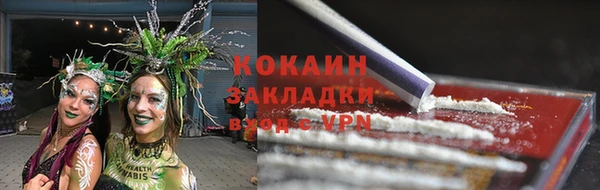 прущие грибы Арсеньев