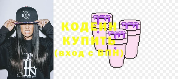 прущие грибы Арсеньев