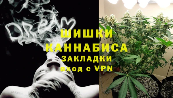 прущие грибы Арсеньев