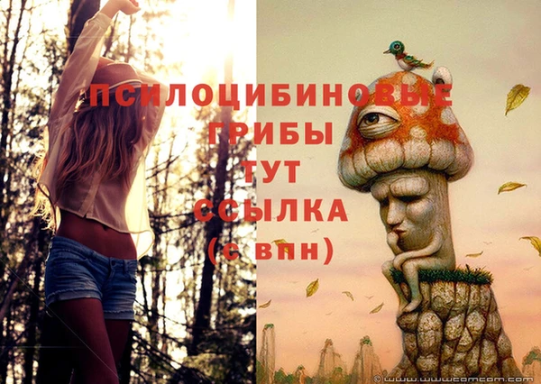 мдпв Балабаново
