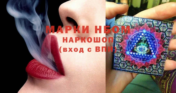 прущие грибы Арсеньев