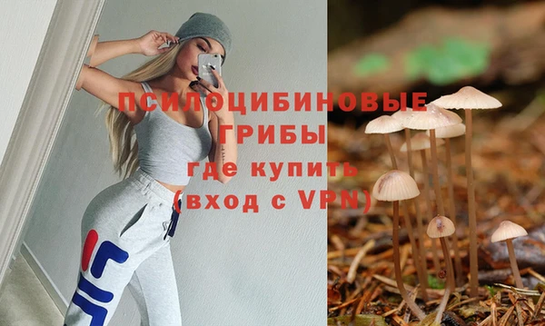 прущая мука Армянск