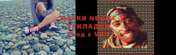 прущие грибы Арсеньев
