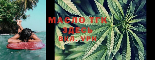мяу мяу мука Аркадак