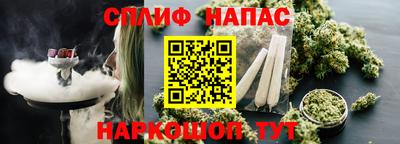стаф Камышлов