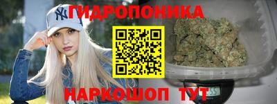 стаф Камышлов