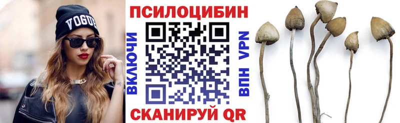 Псилоцибиновые грибы GOLDEN TEACHER  хочу   Киреевск 