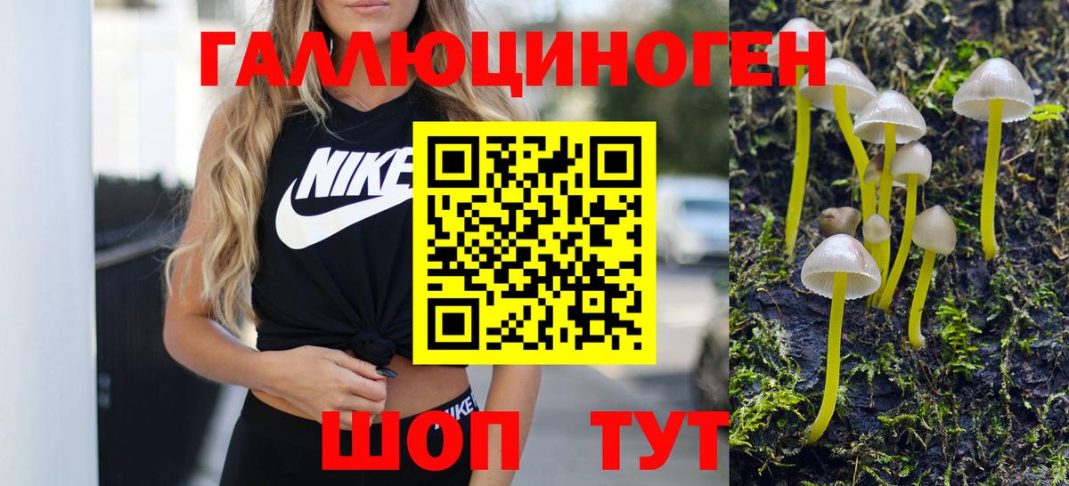Псилоцибиновые грибы Psilocybine cubensis Киреевск